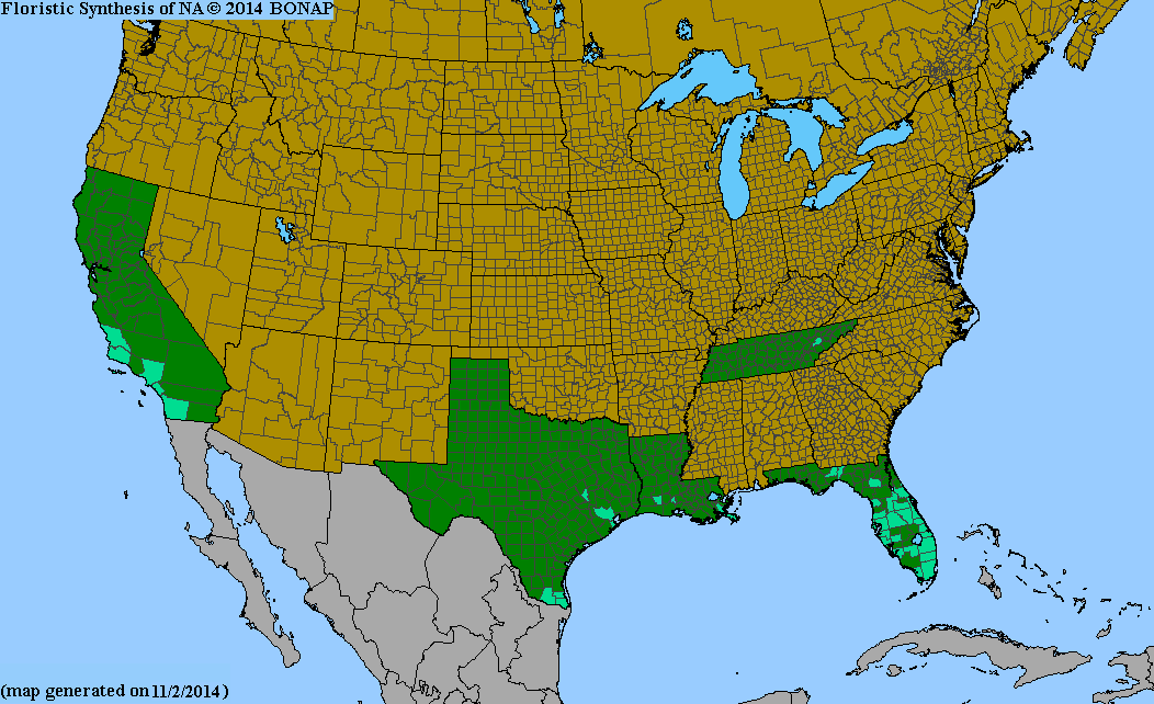 County distribution map of Asclepias curassavica - Bloodflower
